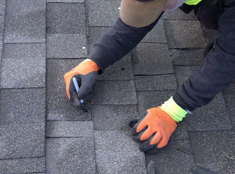 Skilled Roofing Professionals
