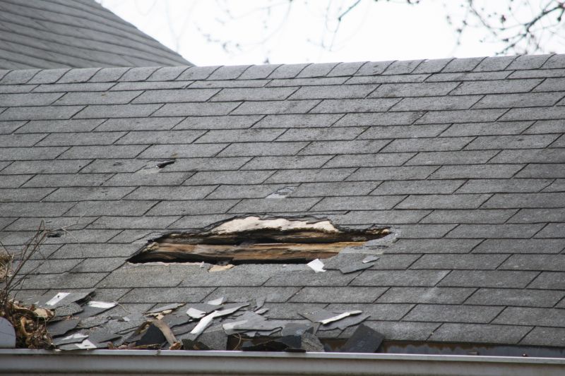 Weather Damage Restoration