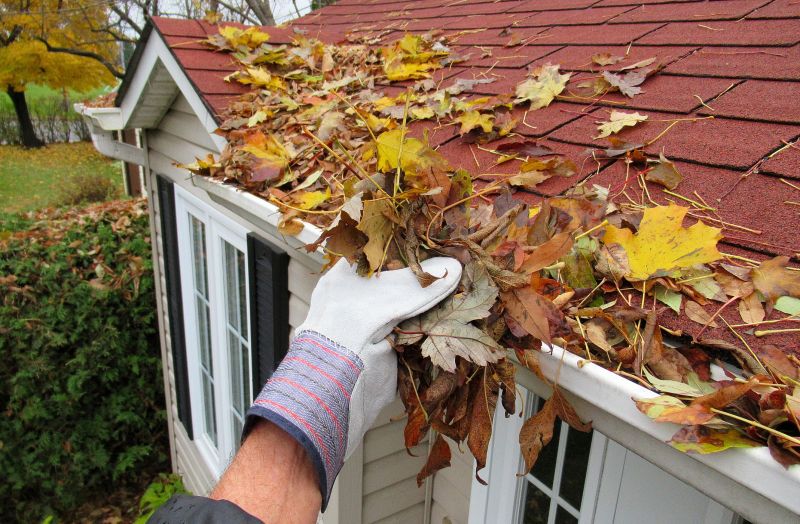 Roof Repair in Fall