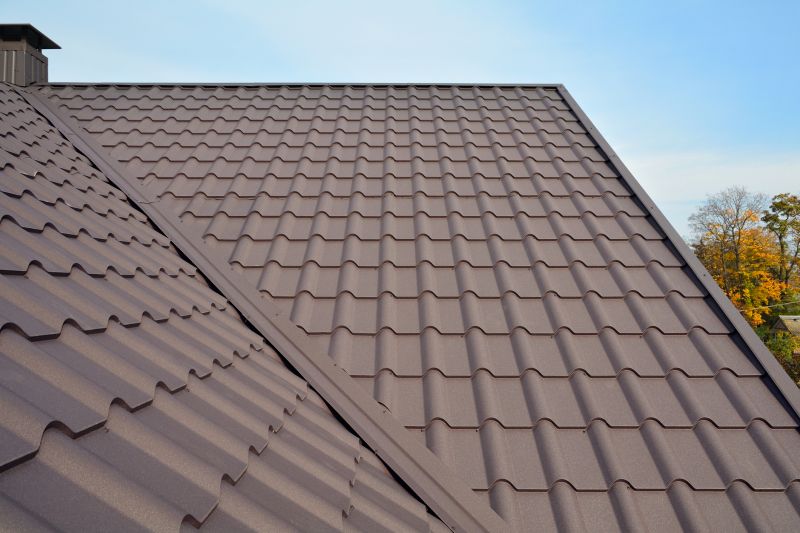 Tin Roof Installation