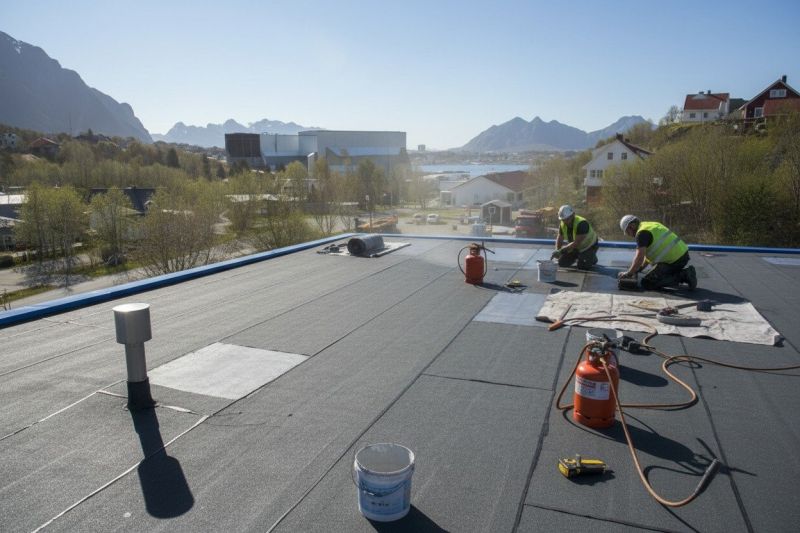 Tpo Roof Replacement